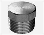 Hexagon Plugs - Threaded Pipe Fittings Manufacturer